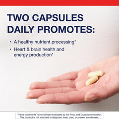 Metagenics MethylCare capsules close-up highlighting methyl B12 and B6