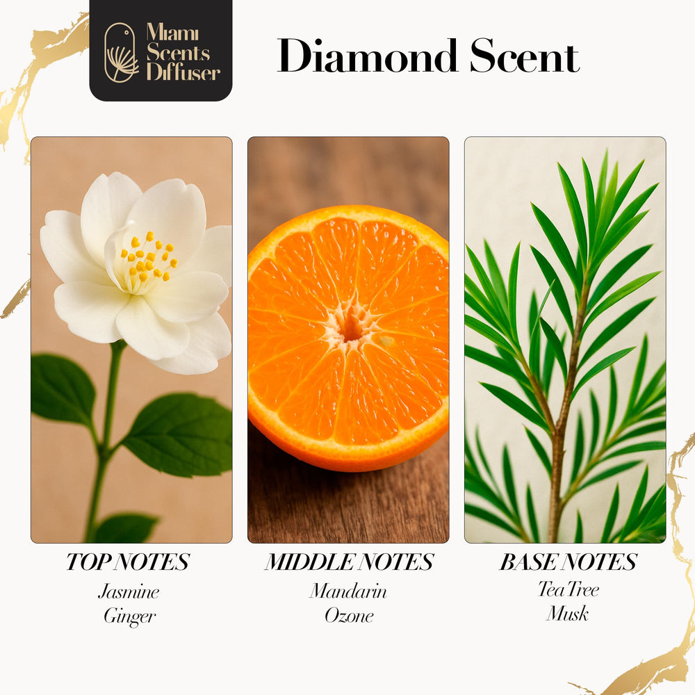 Miami Scents Diffuser Room Ambiance demonstrates space feeling welcoming and fresh