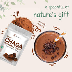 Micro Ingredients chaga powder in a cup of tea with earthy aroma