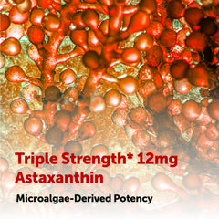 Micro Ingredients Astaxanthin lab test certificate indicating safety and potency