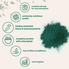 20 oz pouch of Micro Ingredients chlorella powder shown for many servings.