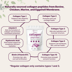 Collagen types I, II, III, V, X overview graphic for Micro Ingredients