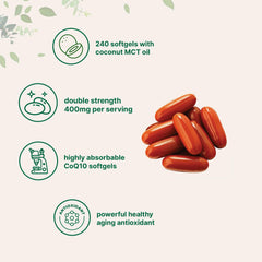 Micro Ingredients CoQ10 ubiquinone with high absorption daily wellness.
