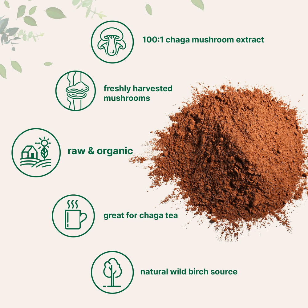 Micro Ingredients organic chaga powder jar ready to stir into beverages