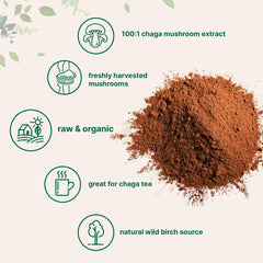 Micro Ingredients organic chaga powder jar ready to stir into beverages
