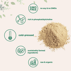 Micro Ingredients Organic Sunflower Lecithin Powder pour-jar for versatile beverage use