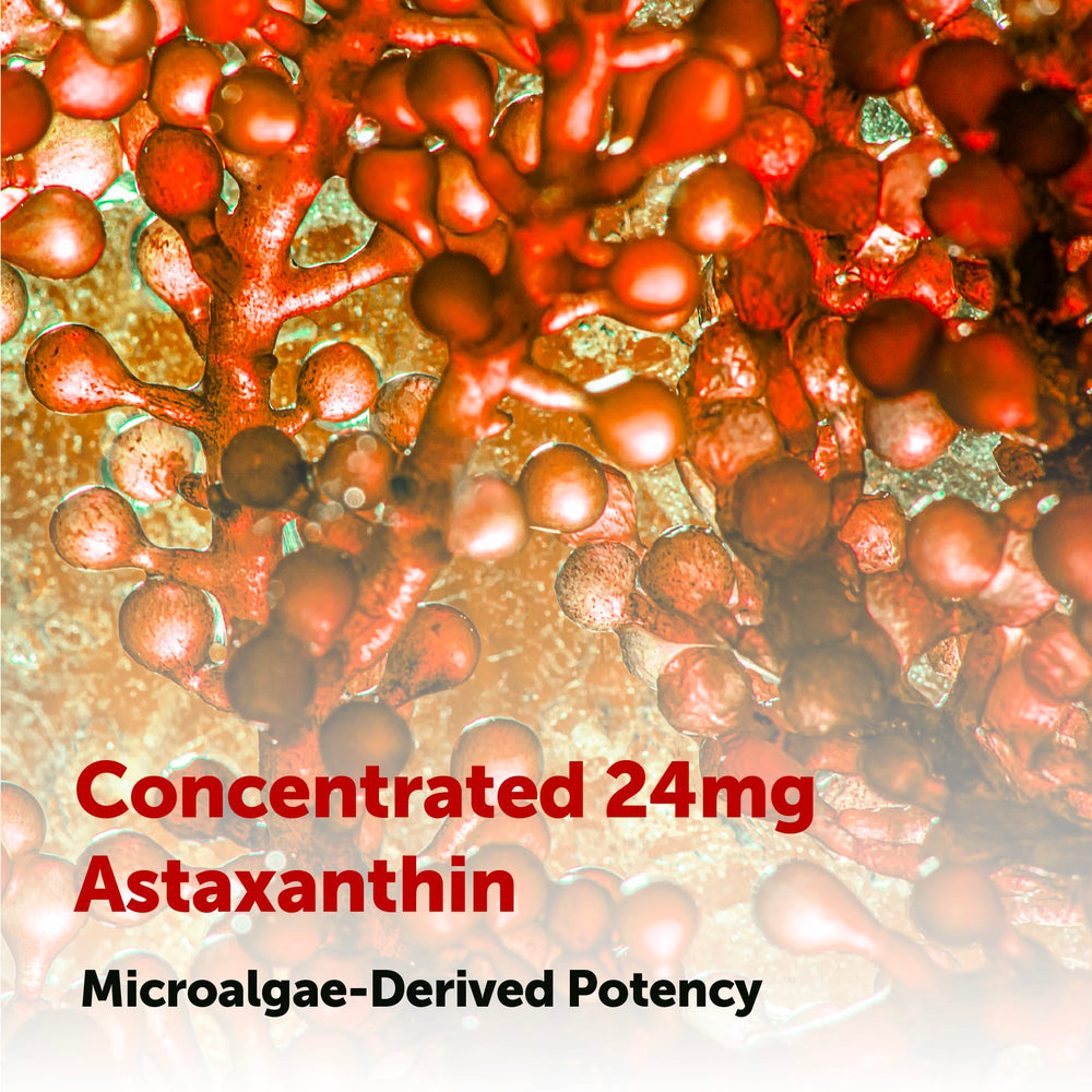 Micro Ingredients Astaxanthin softgels in hand for easy daily use.