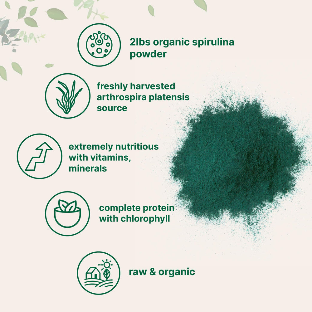 Micro Ingredients spirulina powder blended in a smoothie for protein and nutrients.
