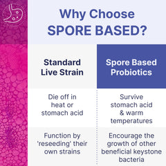 DNA-verified strains label emphasizes trusted Bacillus blends for reliable gut support.