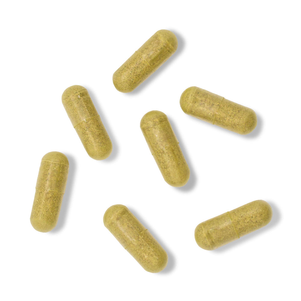 Mighty Maca daily-use ritual image depicting simple supplementation.