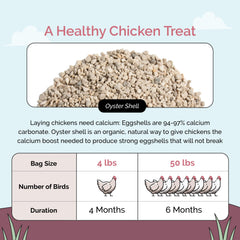 Natural limestone calcium carbonate supports calcium needs for hens