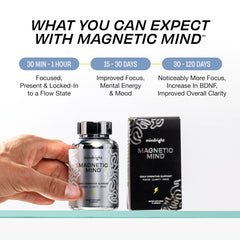 MindRight Magnetic Mind morning routine setup for steady energy and clarity.