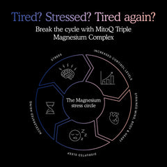 MitoQ Triple Magnesium packaging on desk reinforces a wellness routine