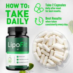 MJO Lipo Fit Capsules for daily-use setup emphasizing consistent wellness