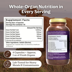 Kidney capsule from MK Supplements beef organ blend for micronutrients