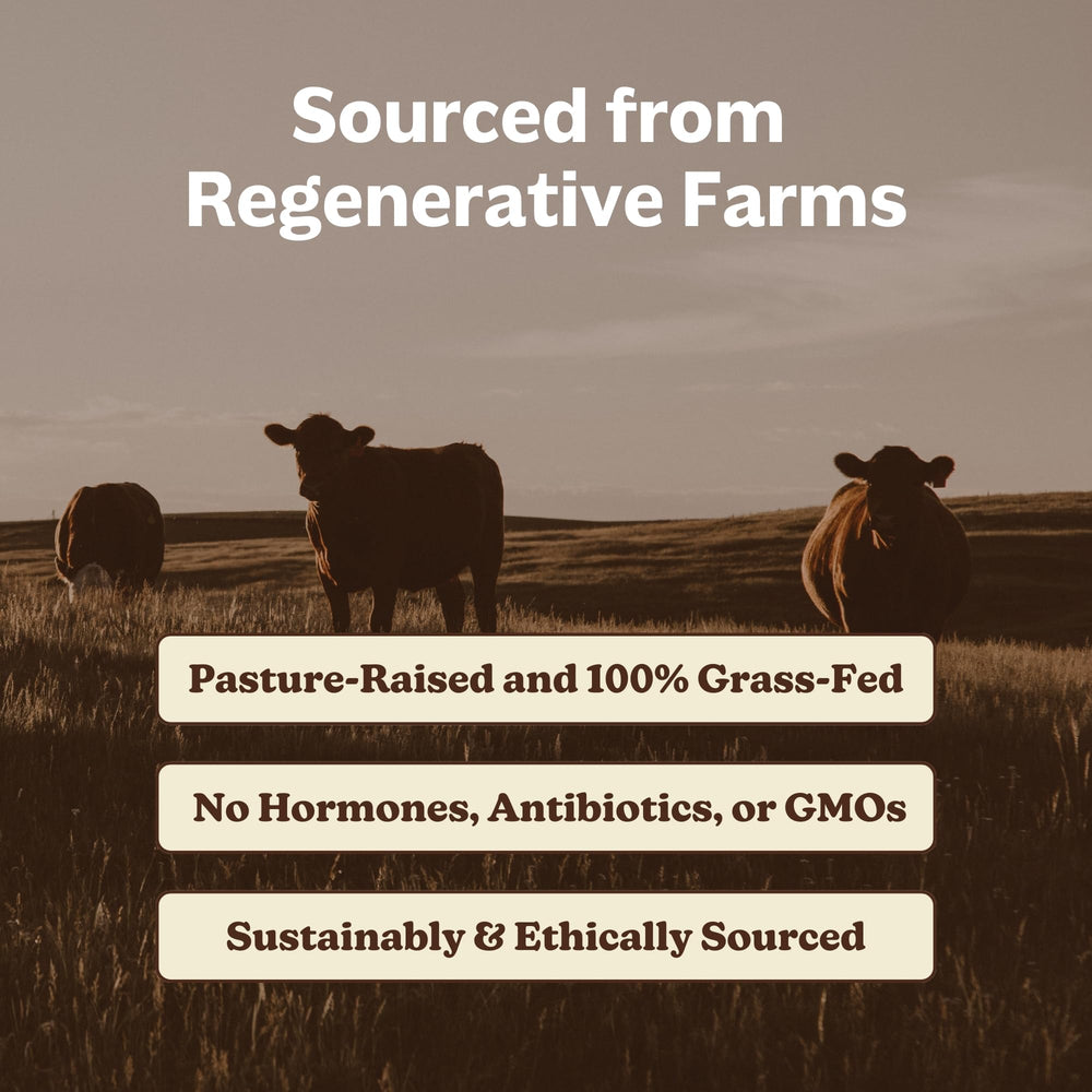 Pancreas capsule from MK Supplements beef organ blend supports digestion