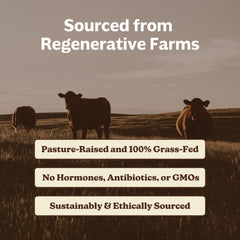 Pancreas capsule from MK Supplements beef organ blend supports digestion
