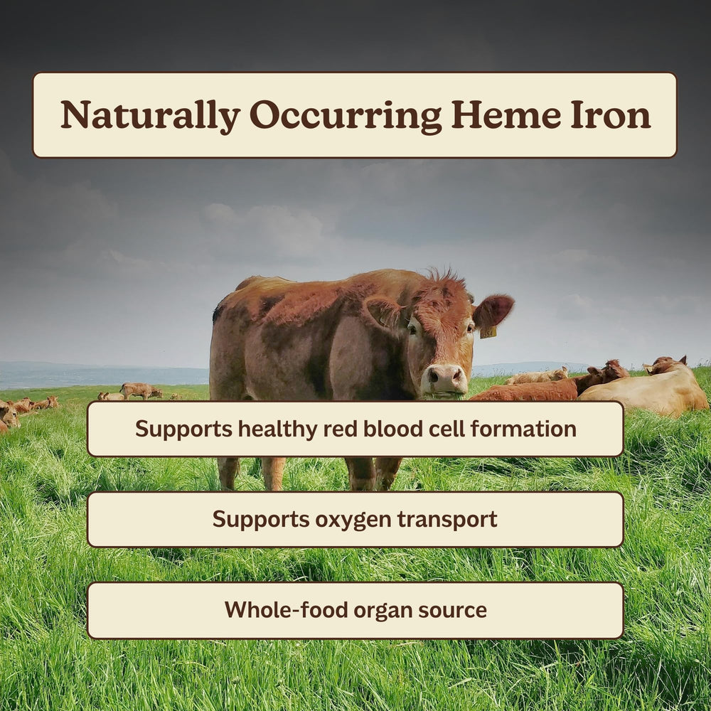 MK Supplements Ironclad COA access packaging signals transparent batch testing and safety checks