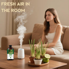 MLYNKL Lemongrass essential oil diffuser setup, refreshing aroma for any room.
