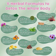 Molorik Pure herbal ingredients include chlorella and cilantro for gentle daily balance.