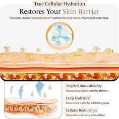 momentM Revitalize capsules close-up, easy daily hydration