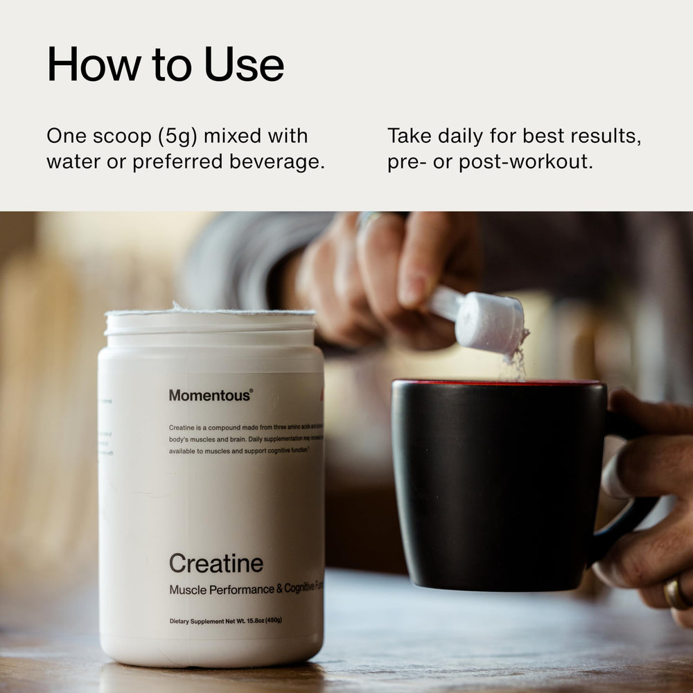 Momentous Creatine Monohydrate canister on gym bench for daily use.