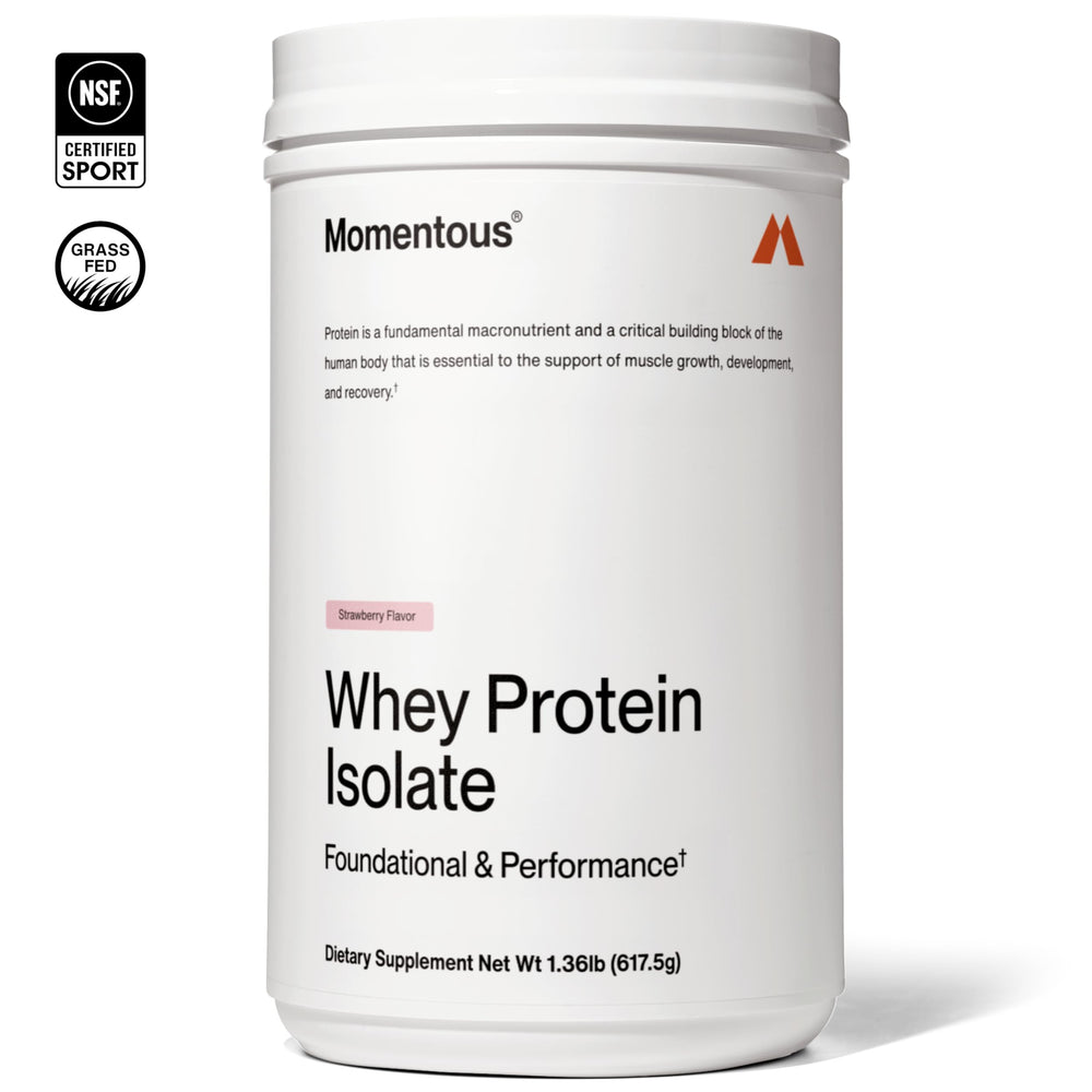 Momentous Essential Grass-Fed Whey Strawberry scoop shows convenient serving for quick fueling.