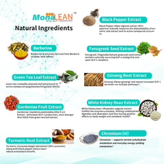 MonaLean Theramone berberine-chromium blend with natural ingredients