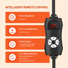 Morfone pulse mode light demonstrates dynamic session options.