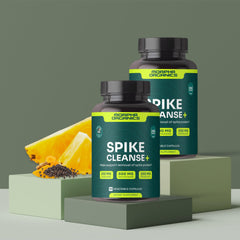 Bromelain ingredient depiction in Spike Cleanse bottle for digestive comfort aid.