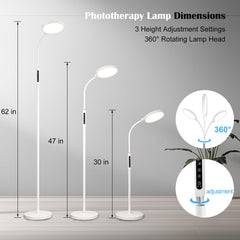 Morpholife weighted-base floor lamp stays steady during work or reading