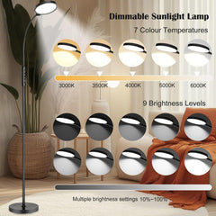 Morpholife lamp height-adjustable base enables flexible room placement.
