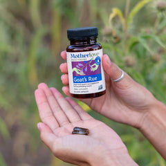 Motherlove Goat’s Rue dispensing capsules for suggested daily use.