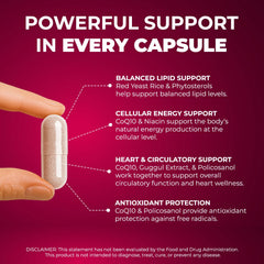 Mountain Health plant sterols capsules presenting a broad wellness profile.