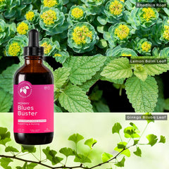 Mountain Meadow Herbs Mommy Blues Buster ingredients close-up featuring Rhodiola and Passionflower.