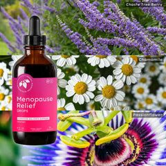 Wild Yam Root note featured on Mountain Meadow Herbs bottle for comfort