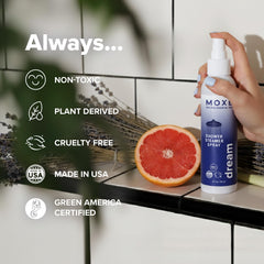 MOXE four-pack display shows variety pack ready for daily rituals