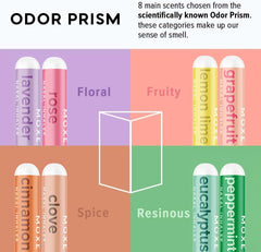 MOXE Phase 2 fragrances help differentiate more scents