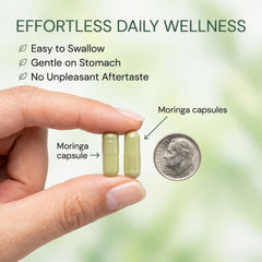 MPRAYAN Moringa capsules beside a glass of water.