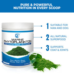 Mr Ros marine phytoplankton ingredient shown as a natural protein source