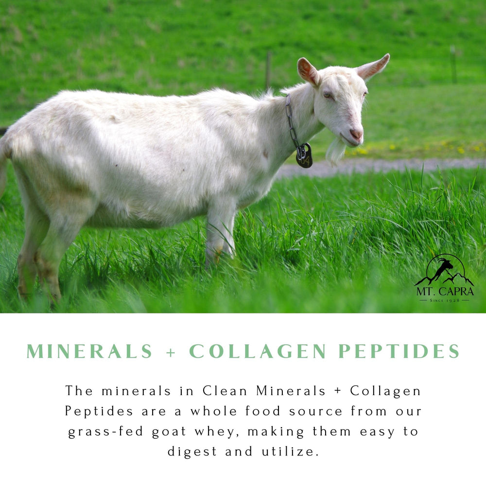 Mt. Capra Clean Minerals jar with scoop showcases goat mineral source