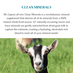 Mt Capra Clean Minerals powder dissolving in liquid for smooth mixing and use