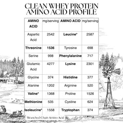 Mt. Capra Vanilla Bean Whey scoop beside blender for smooth shakes
