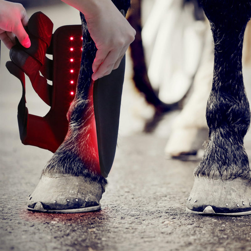 MUMAIS boot display panel indicating power and timer options