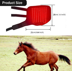 MUMAIS boot in use on horse leg during light training