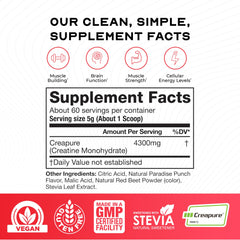 Muscle Feast Creapure powder being measured for easy daily servings