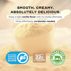 Pasture-raised cows image supporting a natural protein source for Muscle Feast