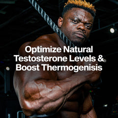 MuscleTech AlphaTest Thermo ingredients chart highlights L-carnitine energy support.