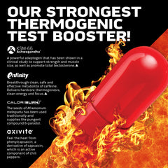 AlphaTest Thermo XTR on a pre-workout setup suggesting training energy
