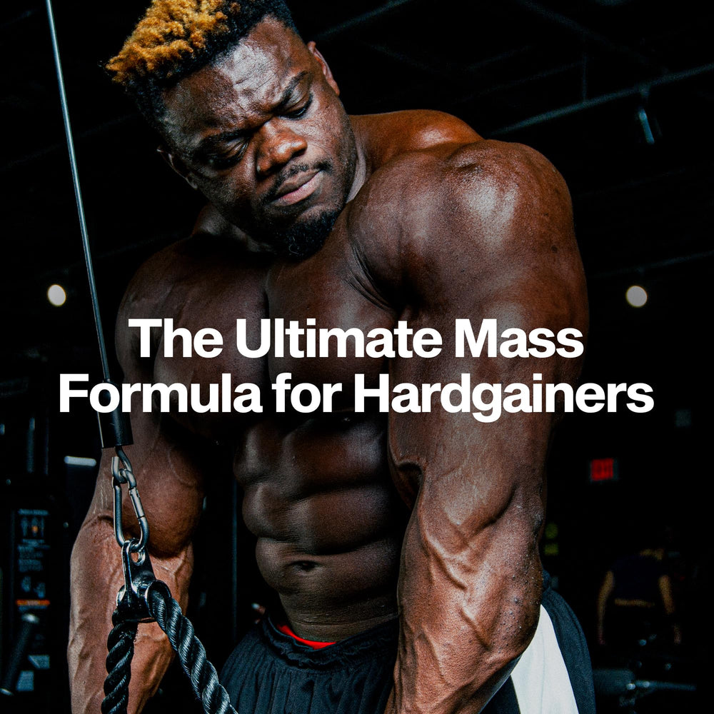 Creatine monohydrate and BCAAs per serving aid recovery